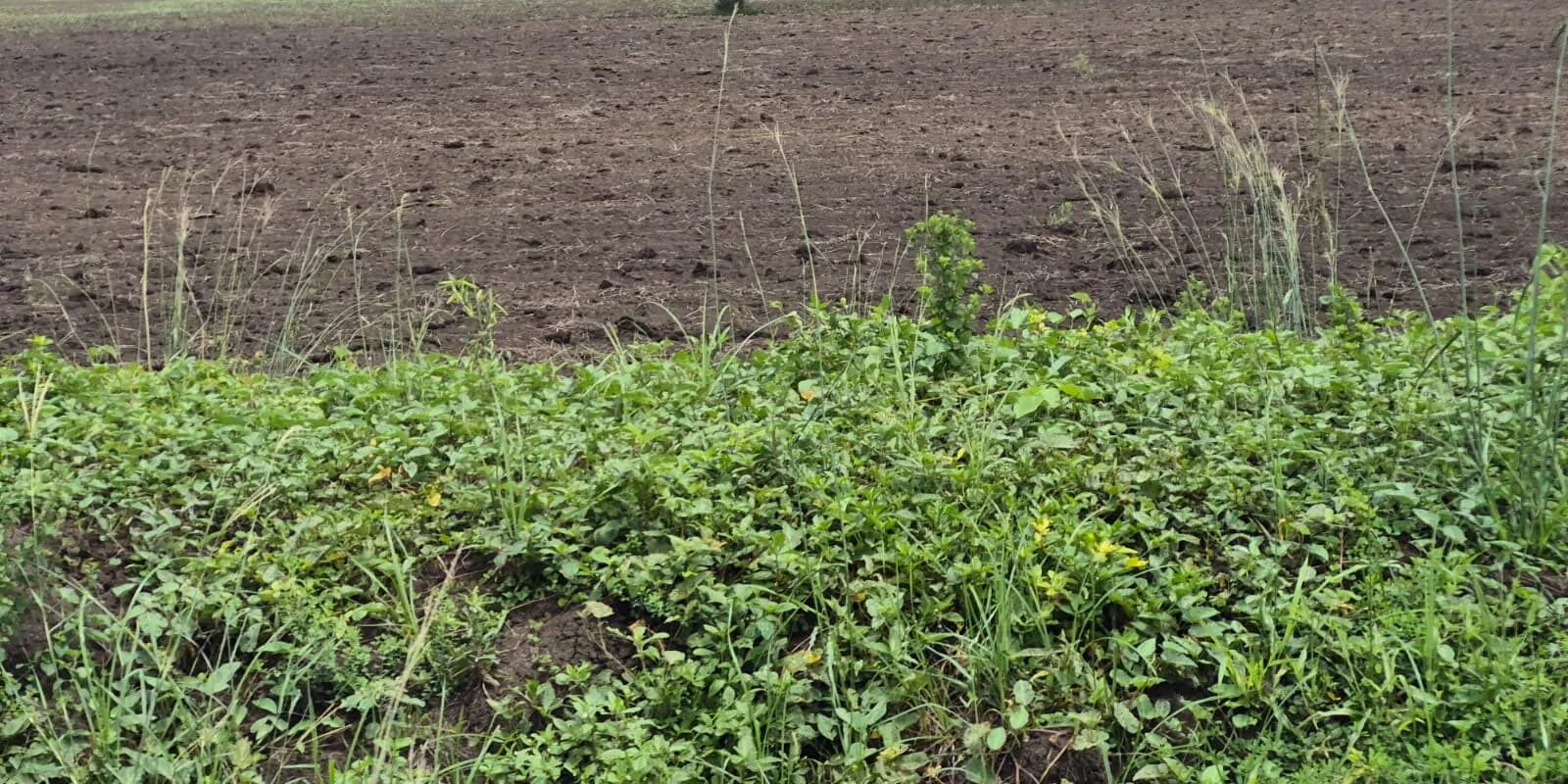 Industrial land in Gujarat showing a vacant plot for freehold and leasehold industrial property investment
