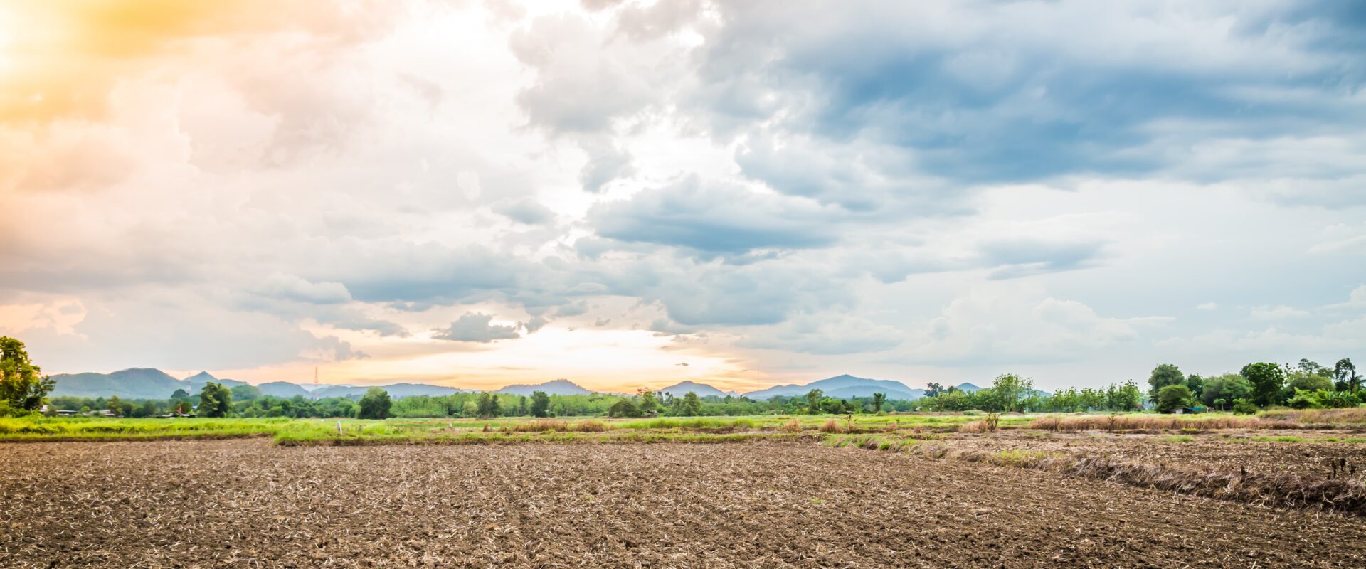 Fertile agricultural land in Gujarat with open farmland and scenic landscape suitable for farming and investment.