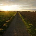 Agricultural and industrial land landscape in Vadodara highlighting property investment opportunities.