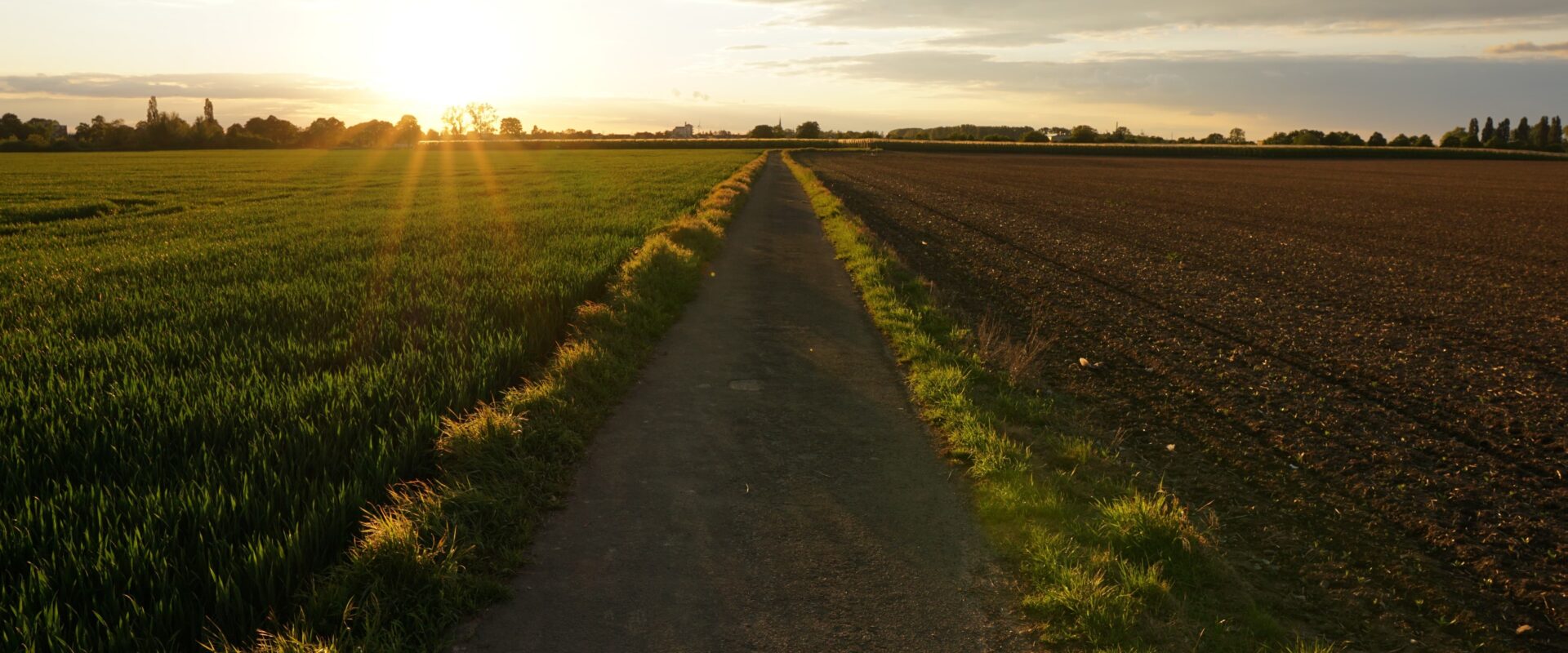 Agricultural and industrial land landscape in Vadodara highlighting property investment opportunities.