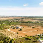 Rising industrial land prices in Gujarat amid increasing demand for commercial and industrial properties